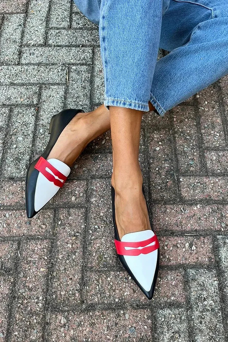 Natalya · Pointed Colour-Block Loafers